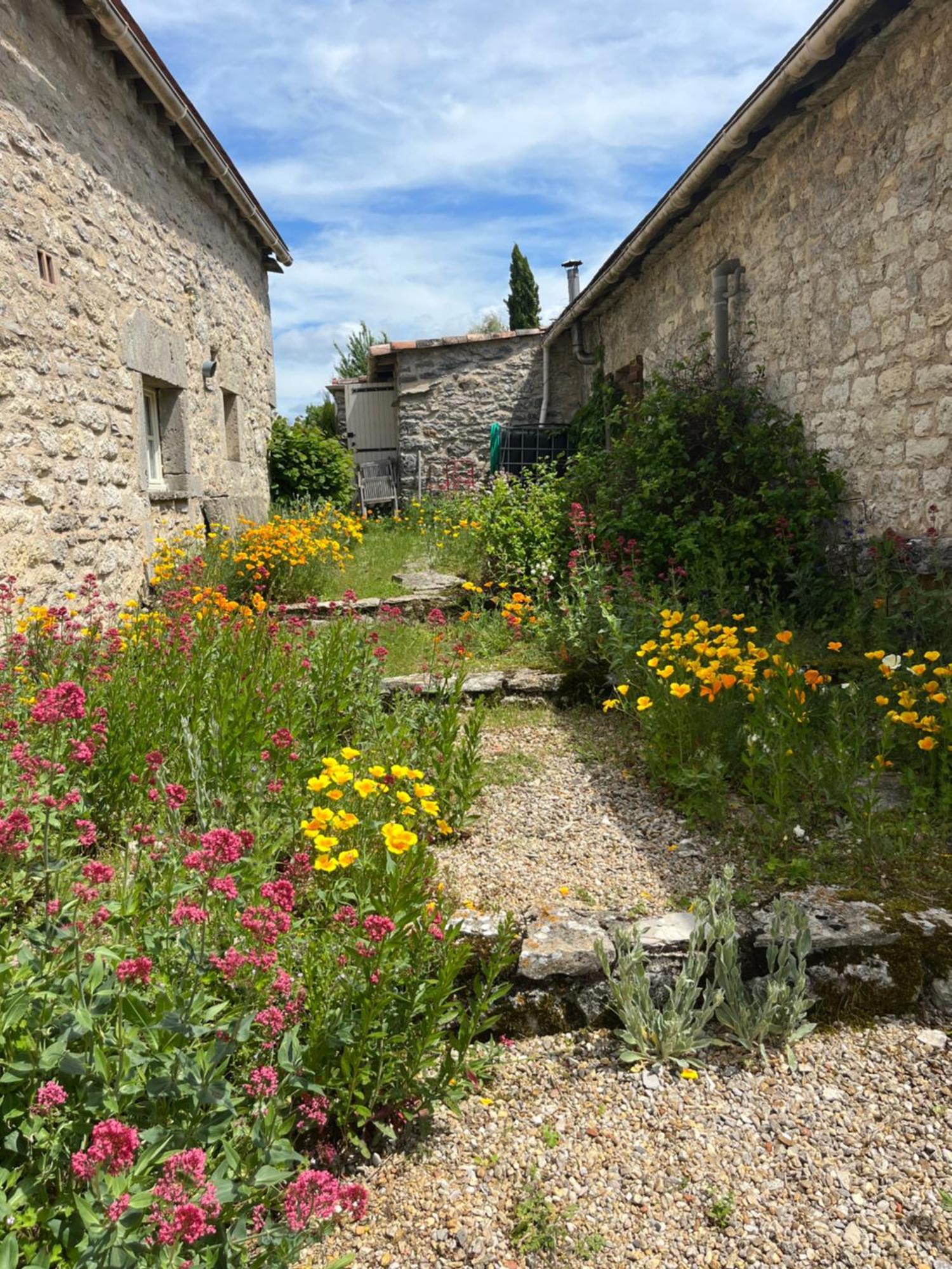 Les Gites Perard Caylus Exterior foto