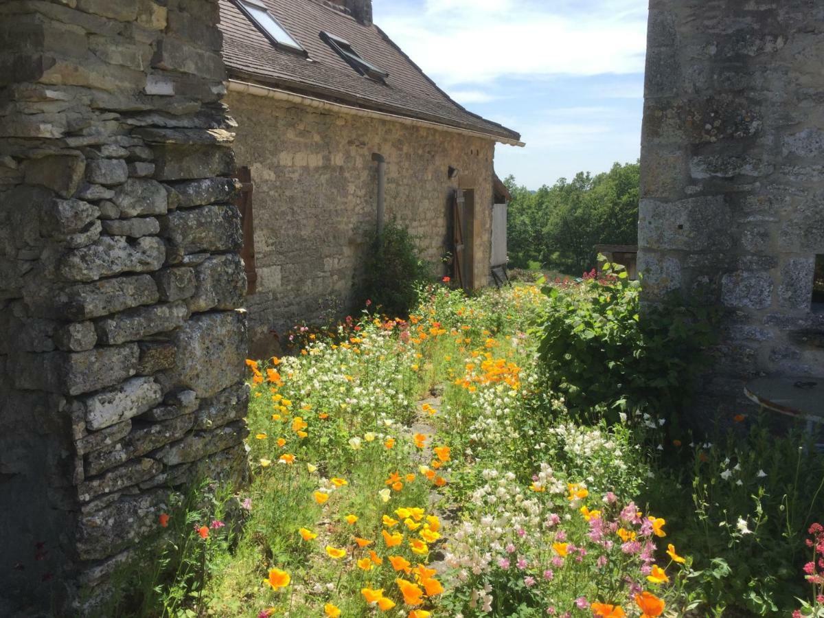 Les Gites Perard Caylus Exterior foto